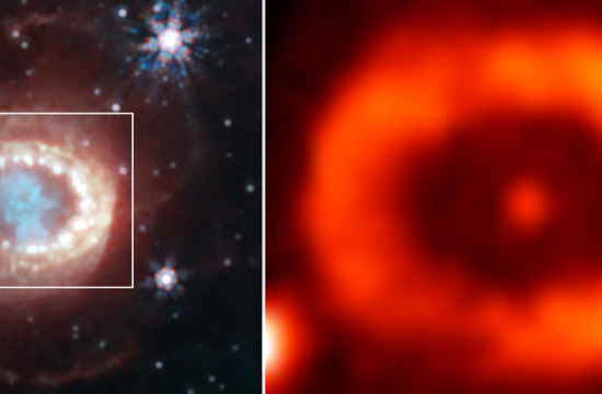 Webb halla evidencia de una Estrella de Neutrones en el Corazón de un Remante joven de Supernova