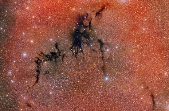 Desde Chile capturan un nido estelar escondido en una oscura nebulosa